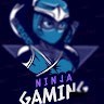 Ninja Gaming