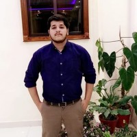 Zain Aleem