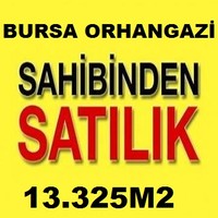 Celal Akoğlu