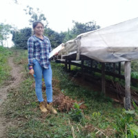 Luz Nangely Guevara Huaman