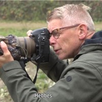 Jaap Nispeling