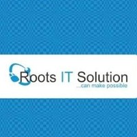 Roots IT Solution ...can make possible