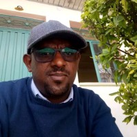 hailekiross Abadi