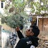 Royston Fernandes