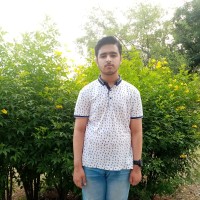 Rana Sameed