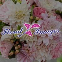Floral Images