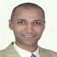 Walid Sayed