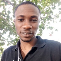 Pelumi David