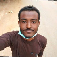 Mohamed Ibrahim
