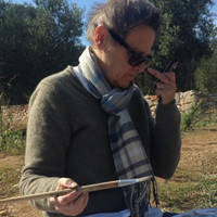 Denise Wrightson