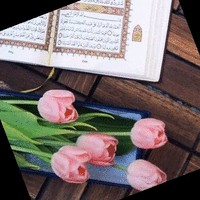 محمود مسعود العالم