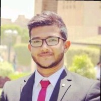محمد السيد سليمان