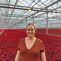 Mieke Hogeveen - Vreugdenhil