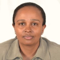 irene njeru