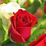 Sathish Devcare
