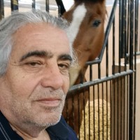 Hasan Kaya