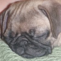 Charles Szabla (aka Charlie Saber)