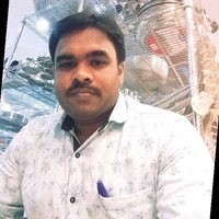 Nelli Prasad Babu
