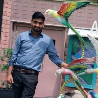 Rajendra Kumar Jangid