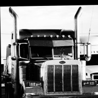 Mann Transport Limited