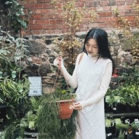 Linlu Pan