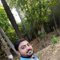 Mayur Dhameliya (Customer Service Specialist And Accountant)