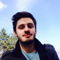 Mircea J.