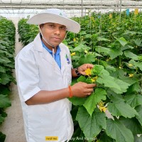 Anil Kumar Belwanshi (A.K.)
