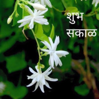 Shaila Kumawat