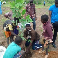 Riva Anselme BONKOUNGOU