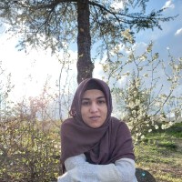 Ülkü Akgül