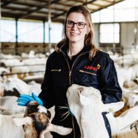 Anne-Riet Boerenkamp