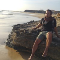 michel savy