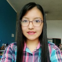 Camila Analuisa Otañez