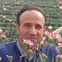 Mojtaba Sharifi