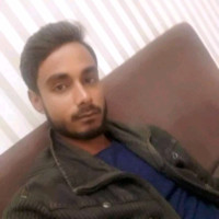 Shilendra Kumar Tripathi
