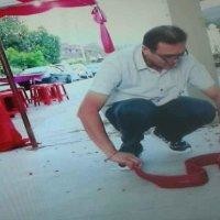 黄槟锡