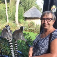 Diane Spiessens
