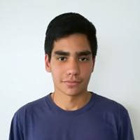 Franco Nicolas Linera