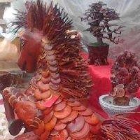 迟少林