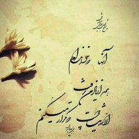 M Afzali