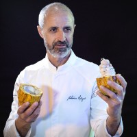 António Melgão