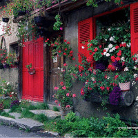 وافي احمد الدريويش