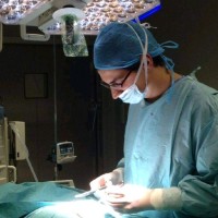 Alberto Hernández Meneses