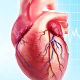 Cardiovasular Disease Predictor
