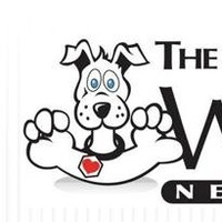 Dog Walking Network TheDog Walking Network
