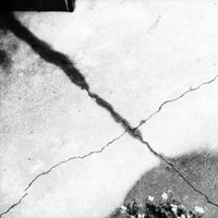 Alessandro Wang