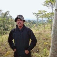 Dito Rahmad Y W