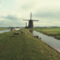 Jan Van Driel