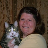 Brenda Stalkfleet